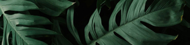 Hydrogélové vankúšiky a pleťové masky ERNE od Pavla trade s.r.o.